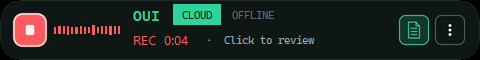 OUI Dictate for Windows: the floating dictation bar recording, with a live level meter and a REC timer